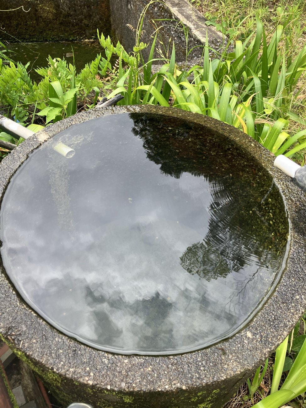 湧き水をたたえる石の水盤