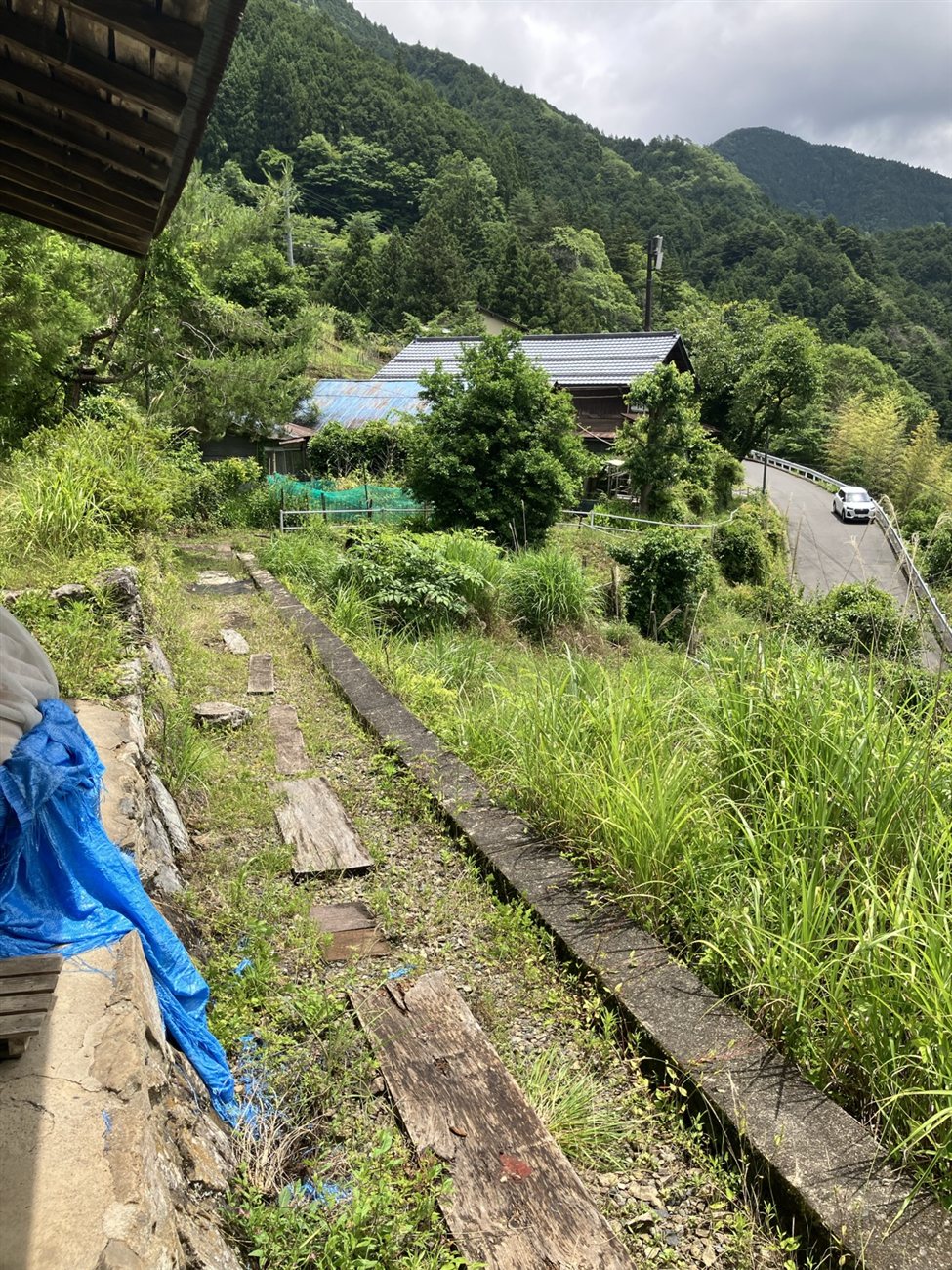 再生を待つ海沢の土地と谷の集落